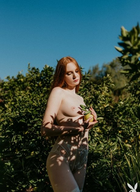 Jessica Lynette Brooks pornstar pretty image