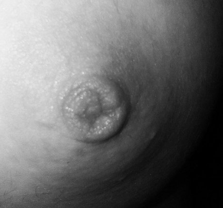 Fre4 zy nude star galleries