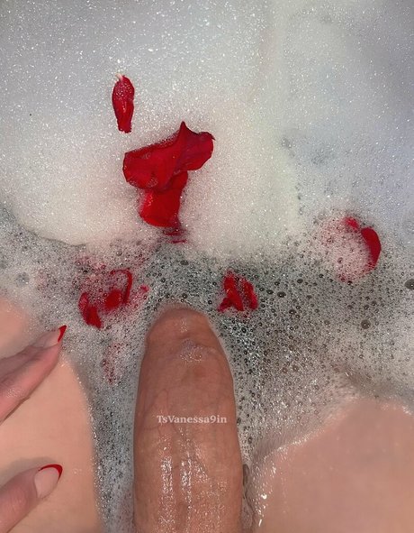 Vanessa9in porn model archive