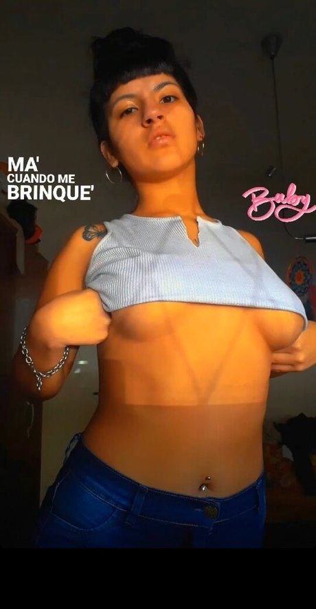 paradisi02 art star archive