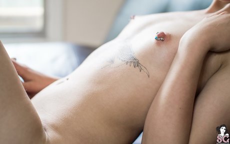 Fayewhyte exclusive star archive