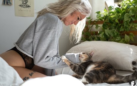 Cori SG star free archive