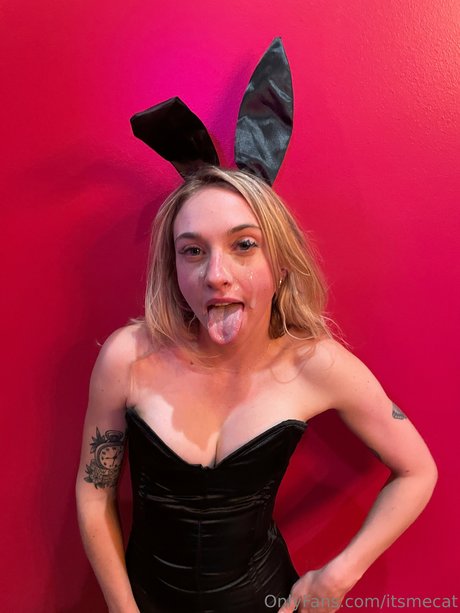 Itsmecat_ pornstar xxx archive