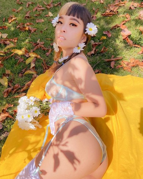 Dxgxmii star beautiful pic