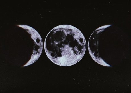 bbw wife onlyfans hot sex img