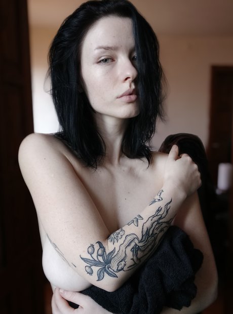 Innervus_ star adult archive