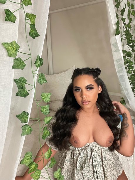 LorenOnyx star pretty gallery