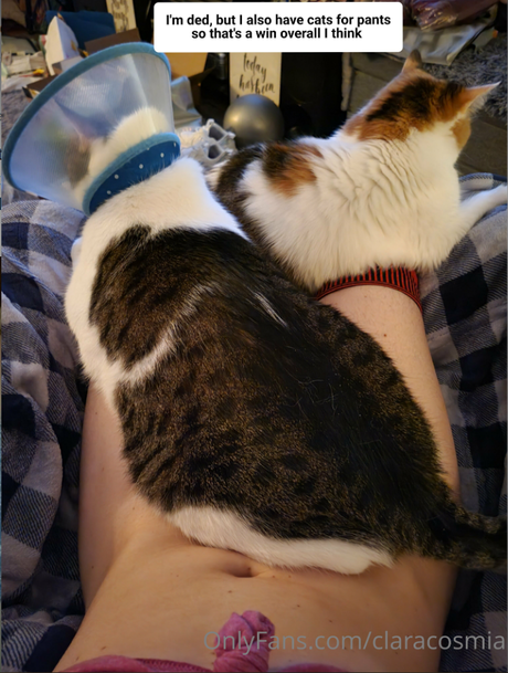 stars onlyfans adult photo