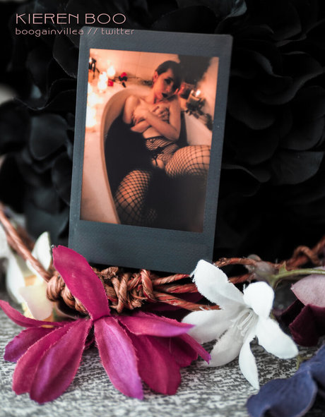 Boogainvillea perfect star img