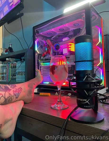 Tsukivans exclusive model img