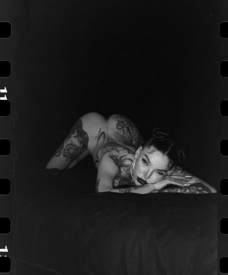 dogatumer best model galleries