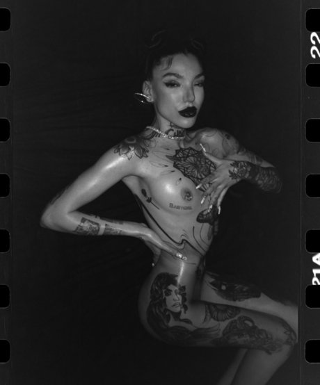 dogatumer adult model picture