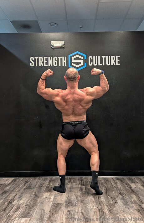 Michael Forte free star gallery