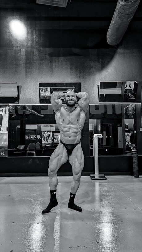 Michael Forte star top picture