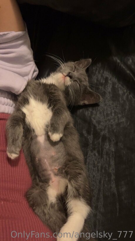 Angelsky 777 nice pornstar pics
