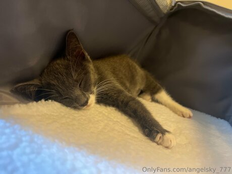 Angelsky 777 hd pornstar photos