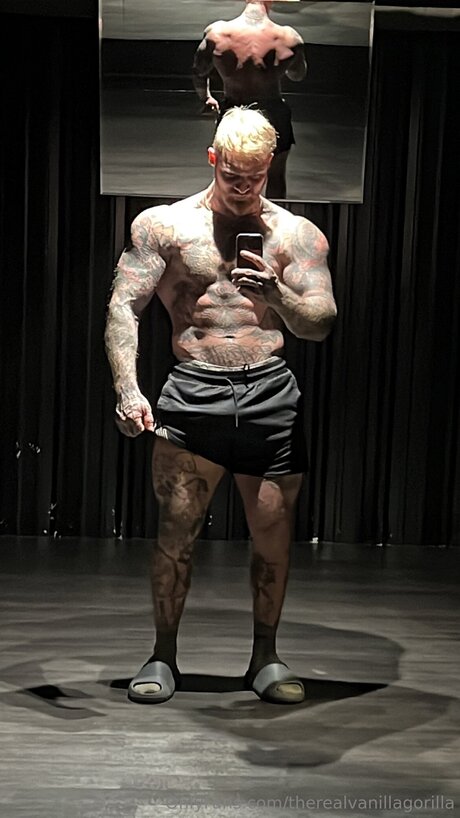 Therealvanillagorilla xxx model image