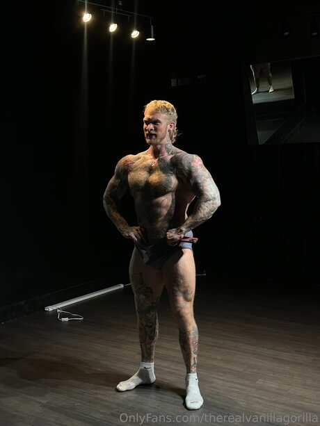 Therealvanillagorilla pornographic star image