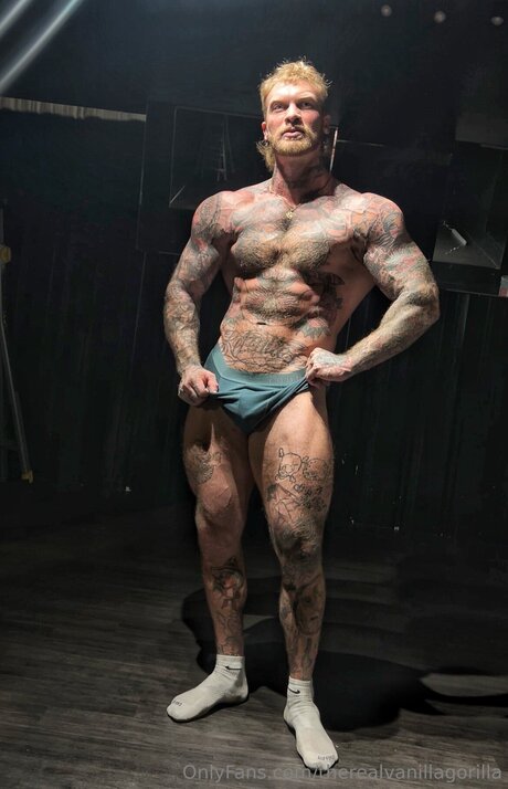 Therealvanillagorilla best pornstar pic