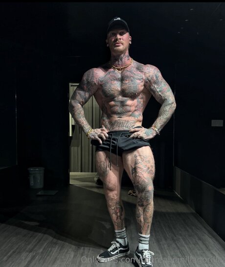 Therealvanillagorilla beautiful pornstar img