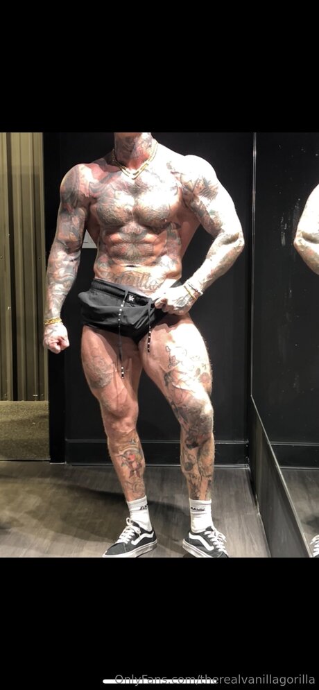 Therealvanillagorilla art actress image