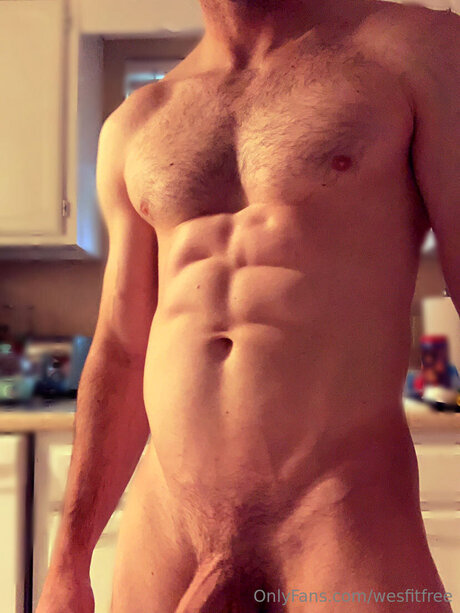 Wesfitfree nice pornstar img