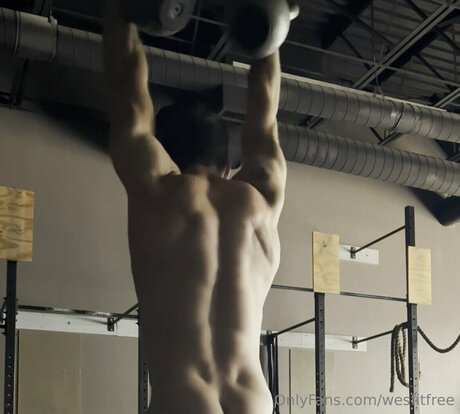 Wesfitfree high quality actress image