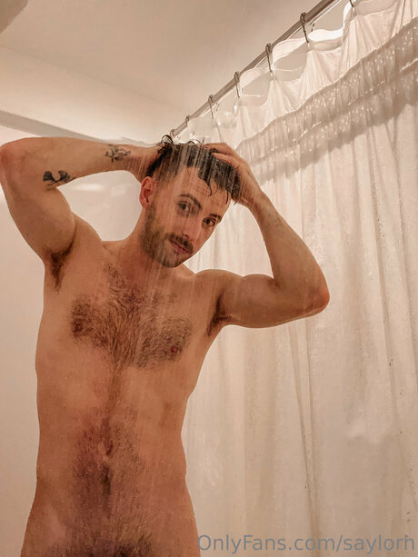 Saylorh star art img