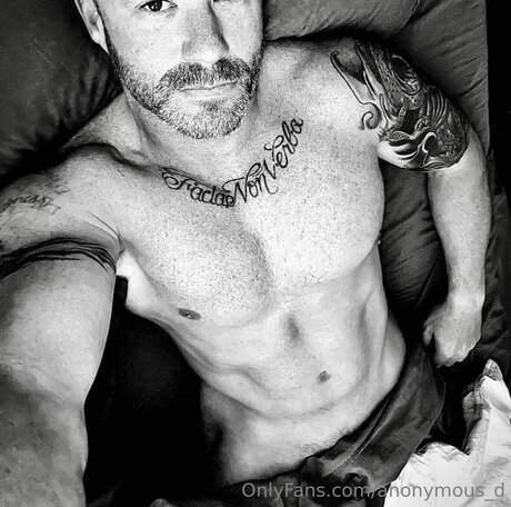 Anonymous D model art img