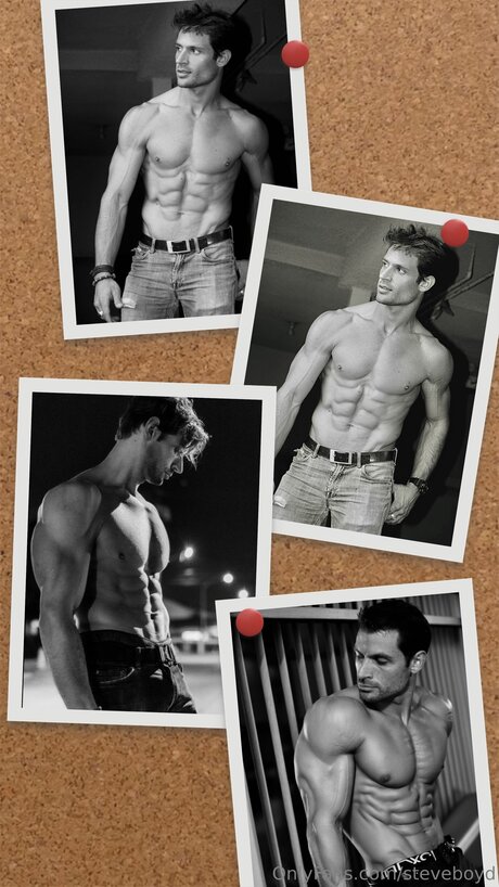 Steveboyd star pornographic images