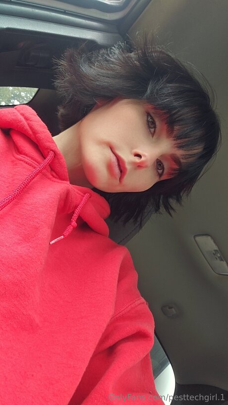 Pesttechgirl 1 pretty pornstar galleries