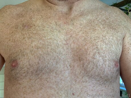 Dad Bod1 high quality pornstar gallery