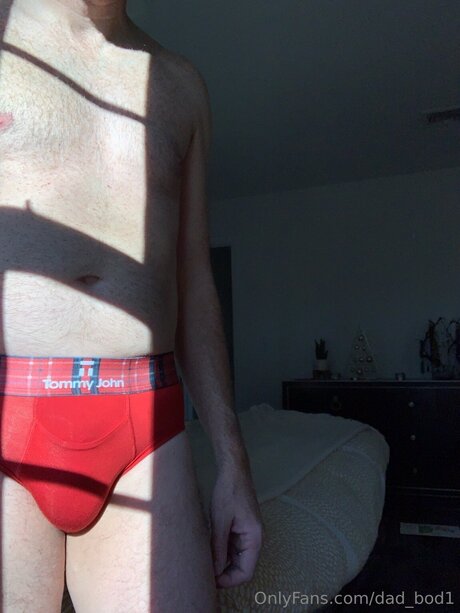 Dad Bod1 nudes actress img