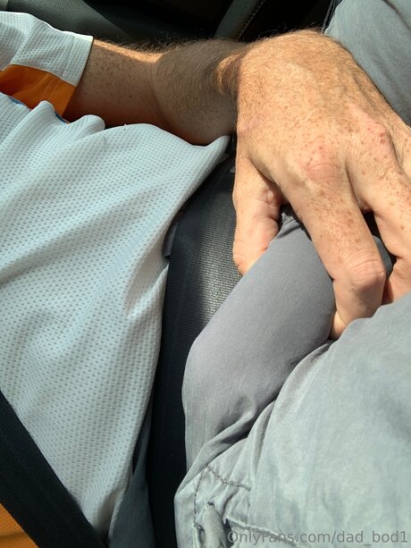 Dad Bod1 best star pictures