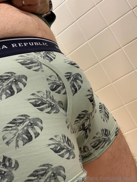 Dad Bod1 hot actress picture