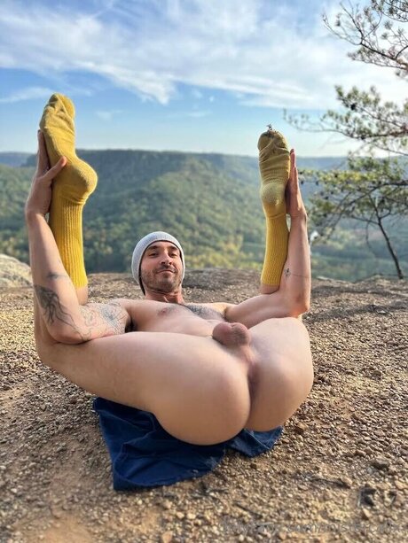 Mistercalix star beautiful images