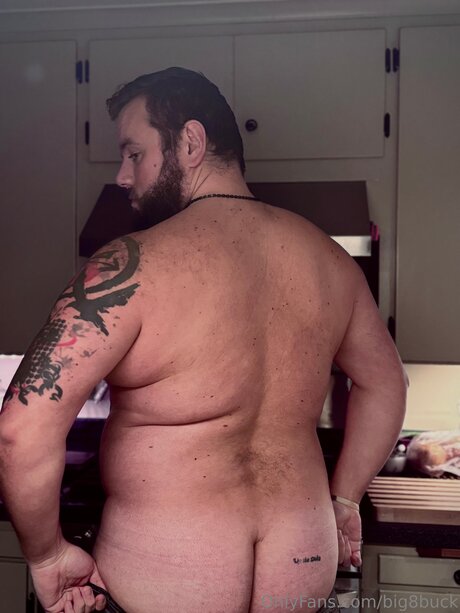 Big8buck free pornstar images