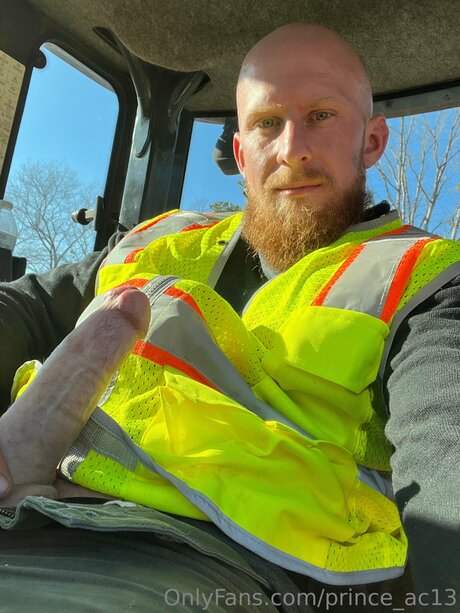 Prince Ac13 model high quality gallery