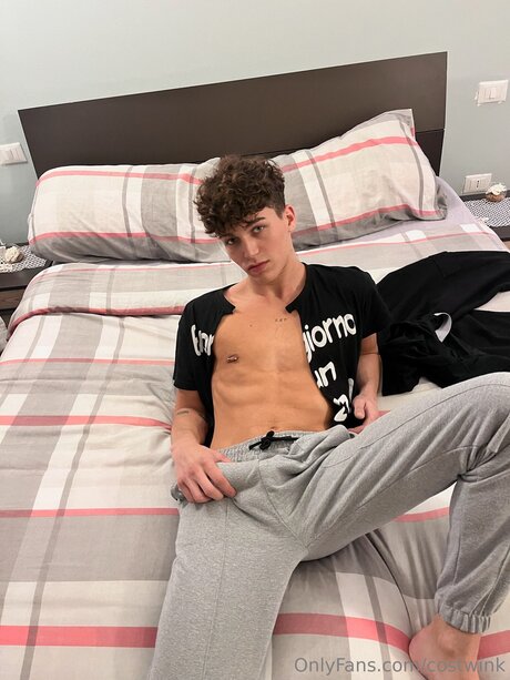 Xcost perfect model images