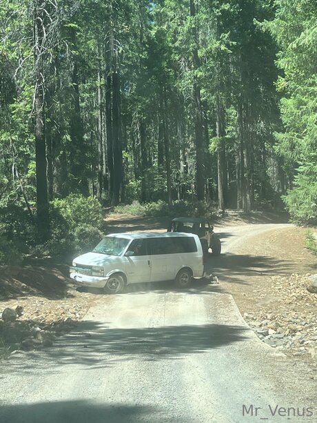 Mr Venus perfect actress pic