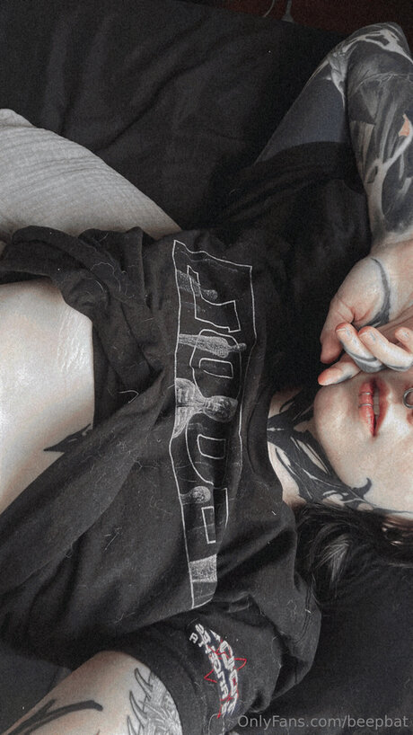 Beepbat star art picture