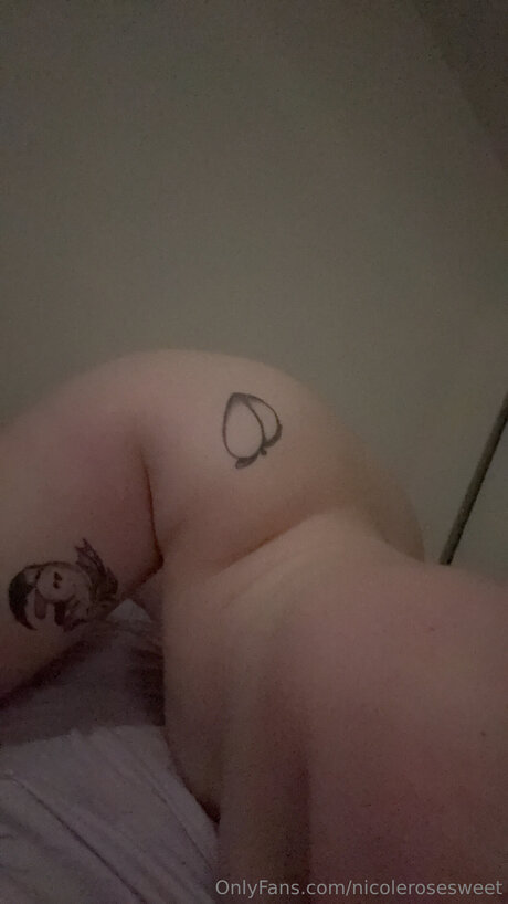 Nicolerosesweet star perfect archive