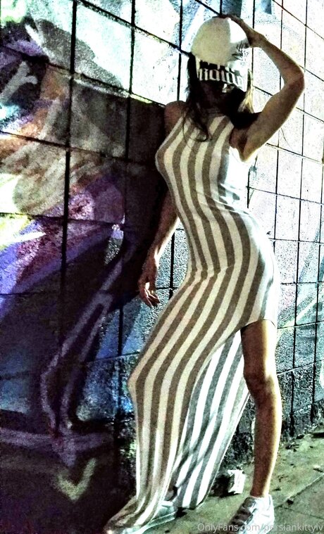 Persiankittylv model free galleries