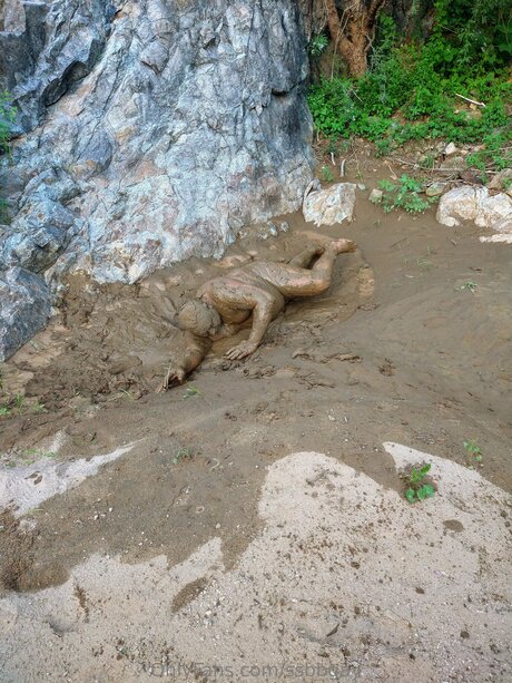 Ssbbgay nice pornstar pic