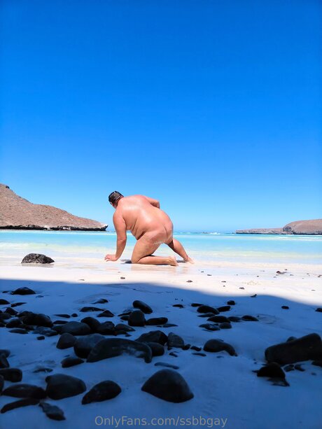 Ssbbgay perfect star archive