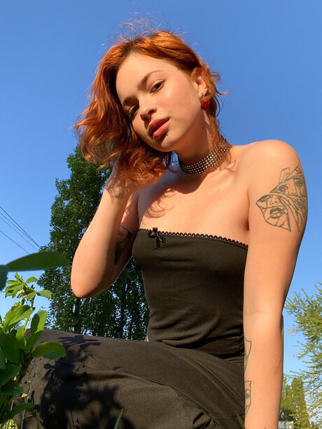 Pineappleri star nice galleries