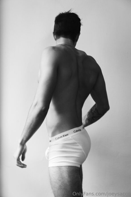 Joeysacco top pornstar image