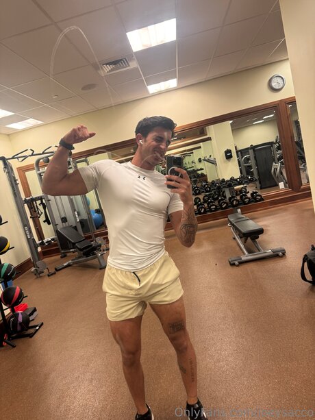 Joeysacco star top pic