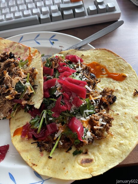 January602 art model pic