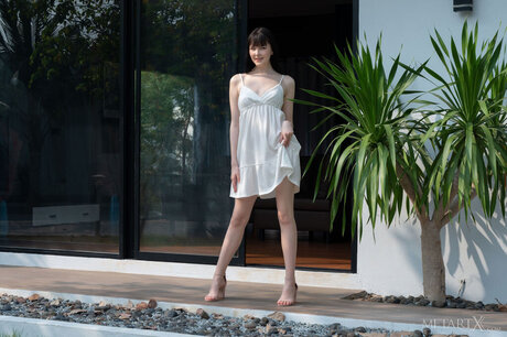 Ameliariven art model images